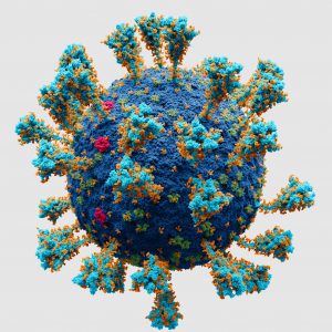 Scientifically accurate atomic model of the external structure of SARS-CoV-2 virus. Each "ball" is an atom. Long Covid may be caused by reservoirs of the virus.