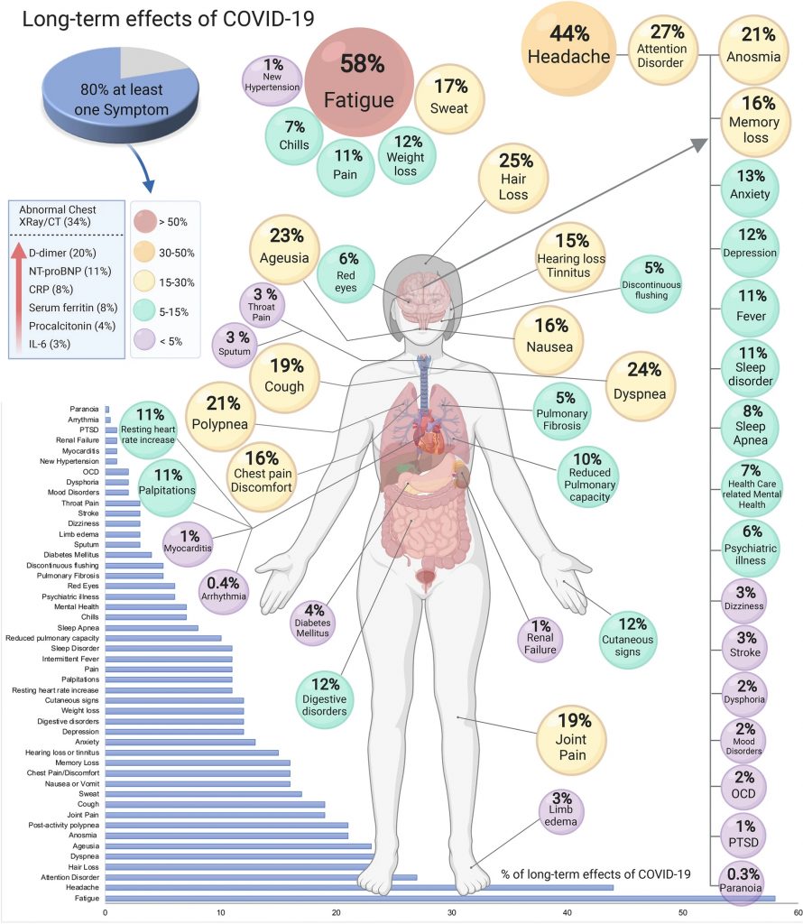 Long term effects of COVID-19 - Long Covid Symptoms.
Image of a human with symptoms listed in bubbles, with percentages